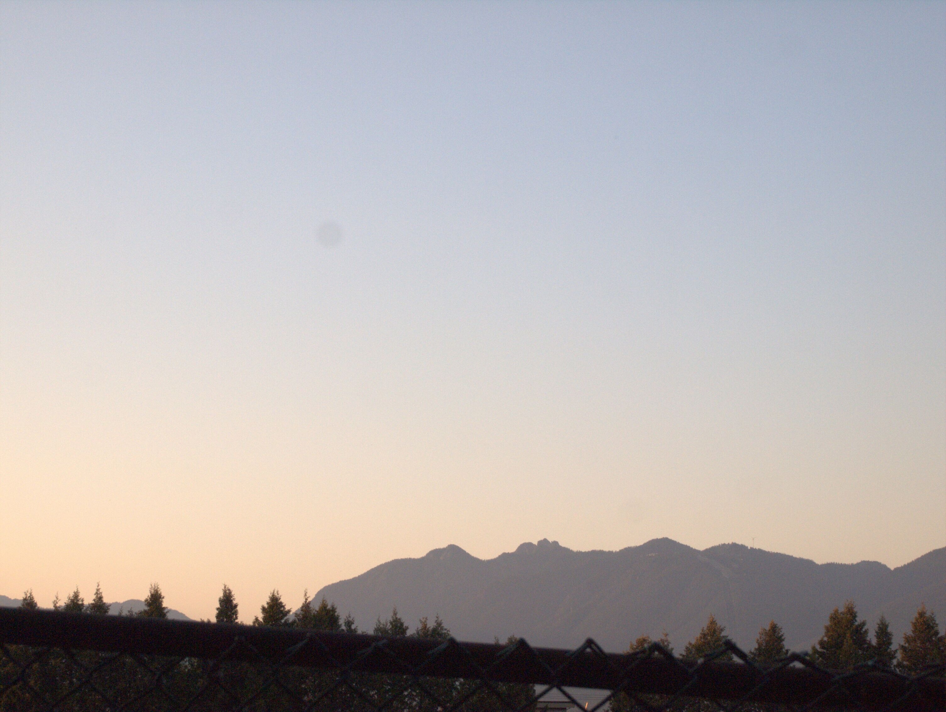 P1010117_optimized_2000