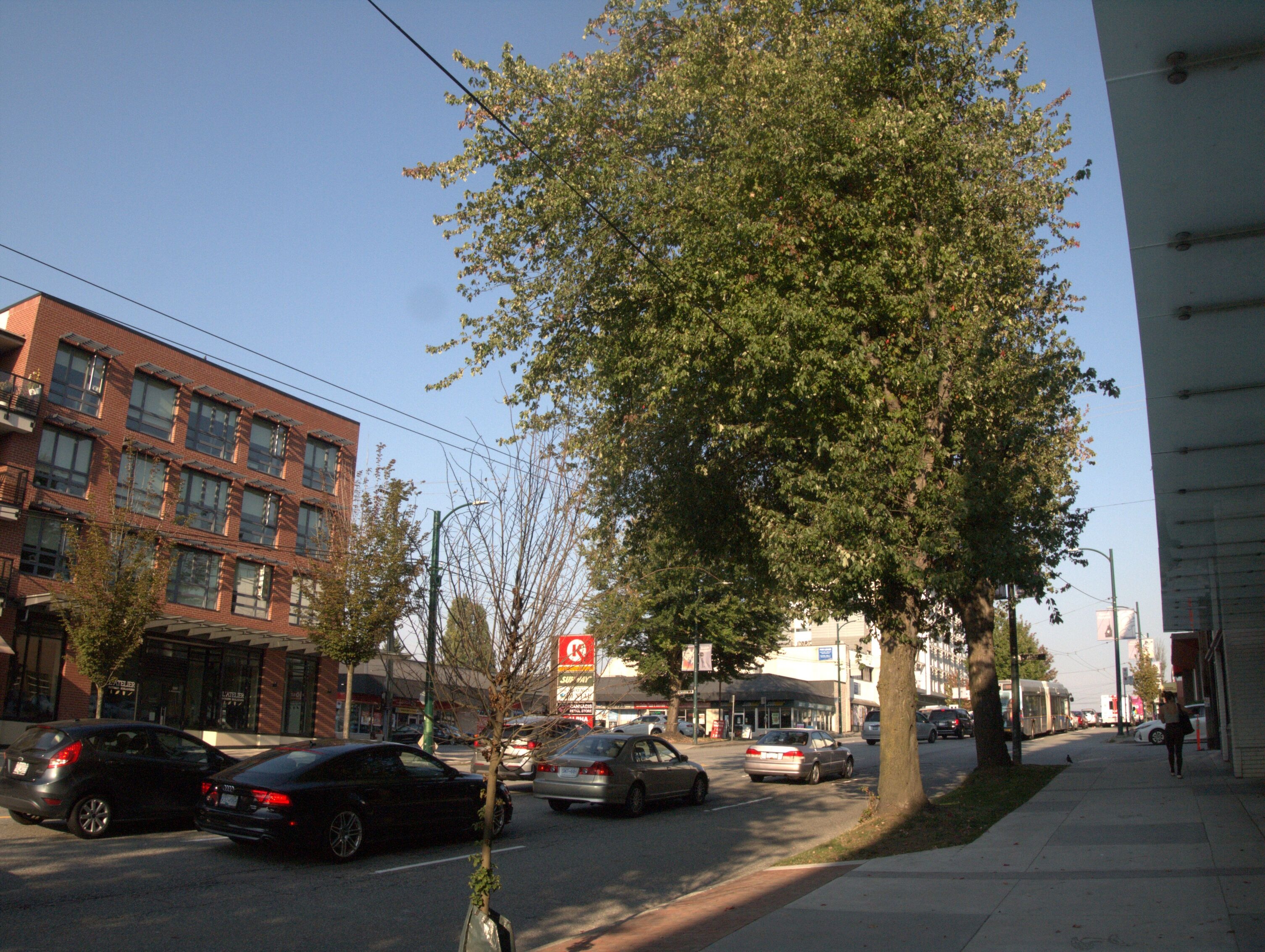 P1010135_optimized_2000